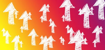 乐鱼vip-大型赛事志愿者培训体系标准化推进,大型赛会志愿者培训